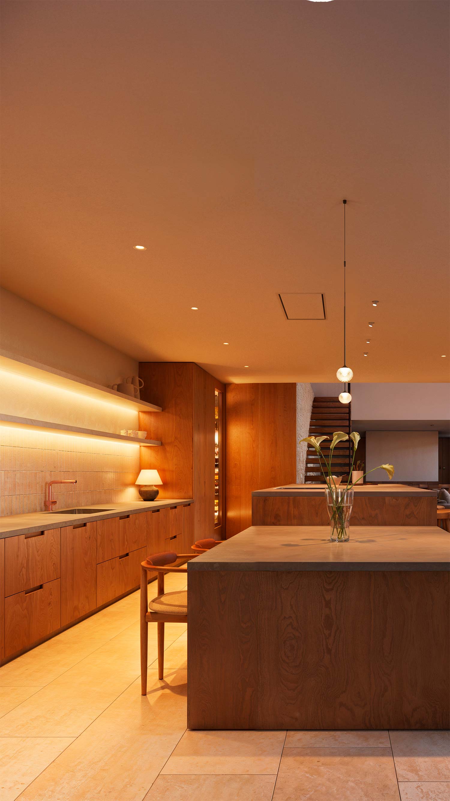 Descripción de la imagen