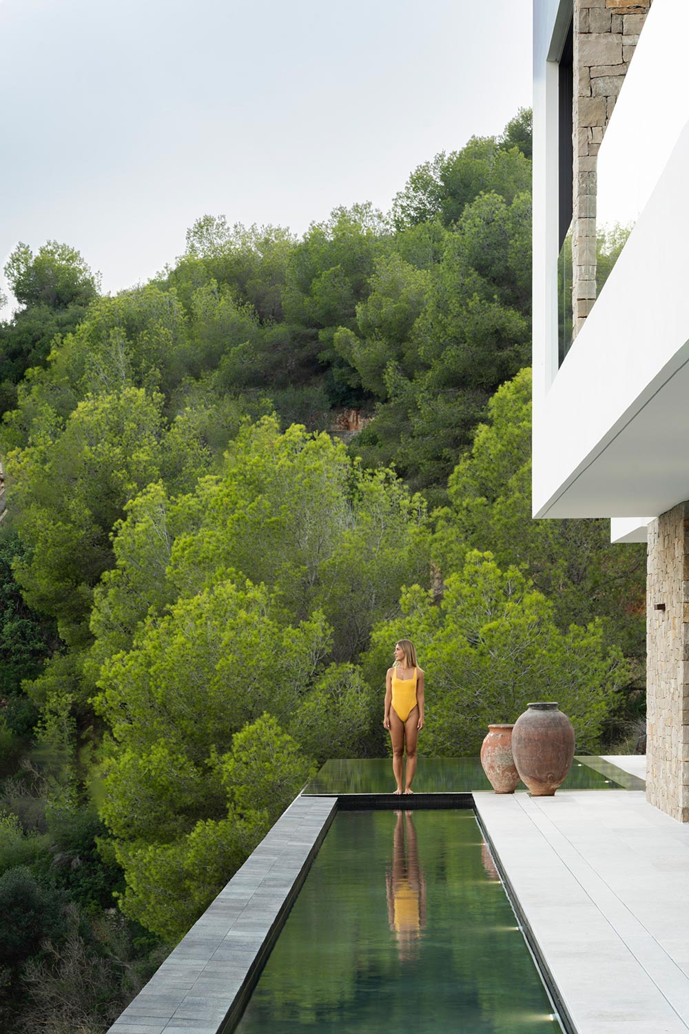 Descripción de la imagen