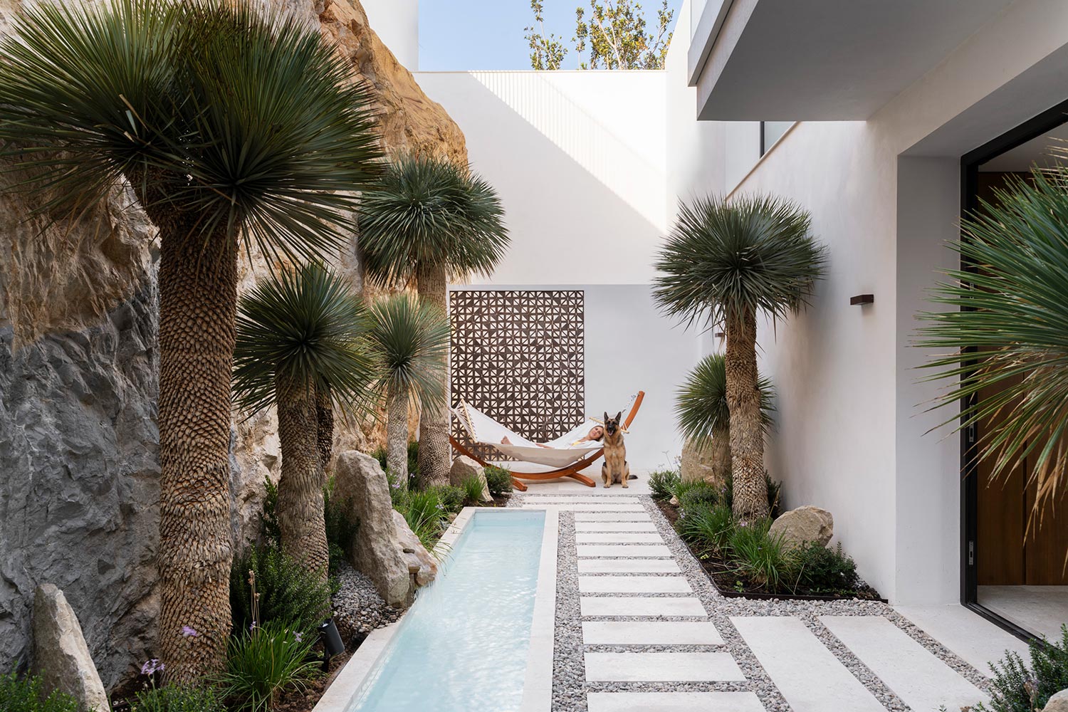 Descripción de la imagen